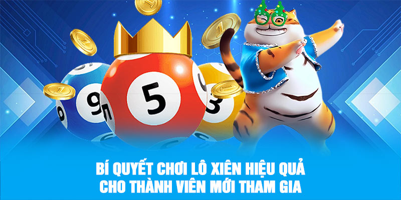 Bí quyết chơi lô xiên hiệu quả cho thành viên mới tham gia