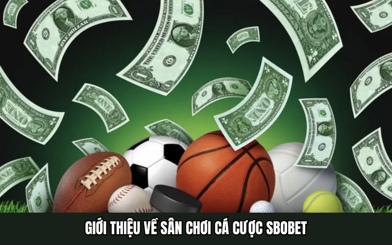 Cá cược sbobet giới thiệu