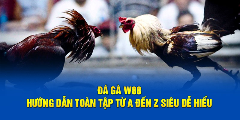 Đá gà w88