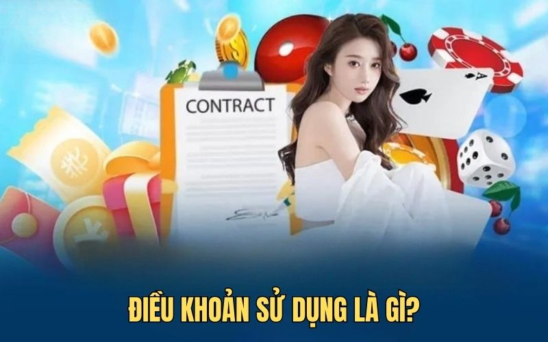 Điều khoản sử dụng là gì
