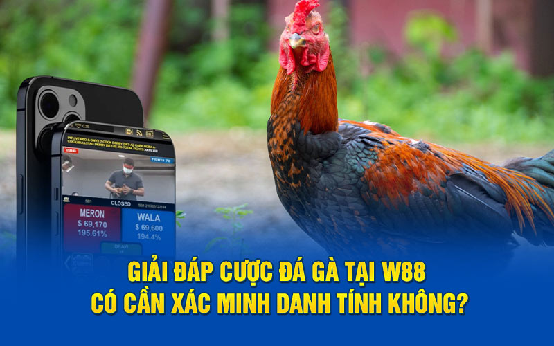 Giải đáp cược đá gà tại w88 có cần xác minh danh tính không