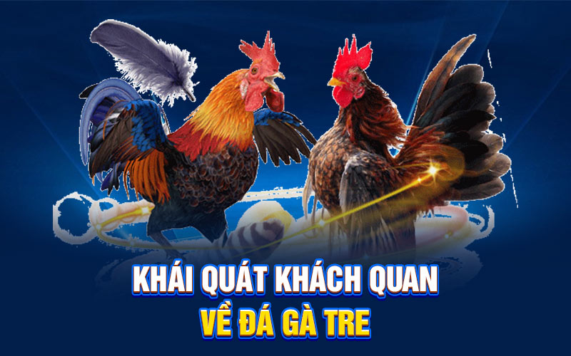 Khái quát khách quan về đá gà tre