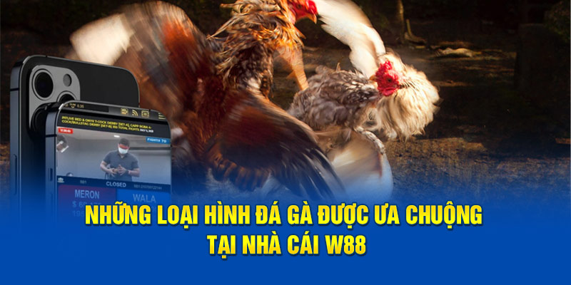 Những loại hình đá gà được ưa chuộng tại nhà cái w88